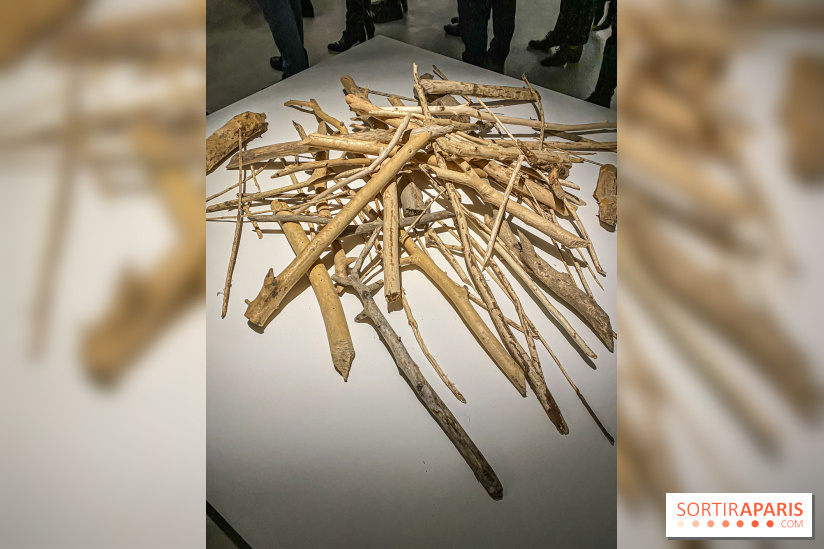 Suzanne Husky au Drawing Lab - IMG 4189