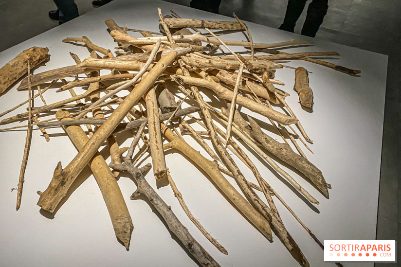 Suzanne Husky au Drawing Lab - IMG 4190