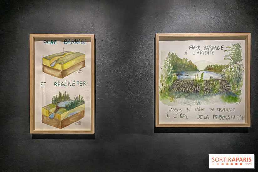 Suzanne Husky au Drawing Lab - IMG 4198