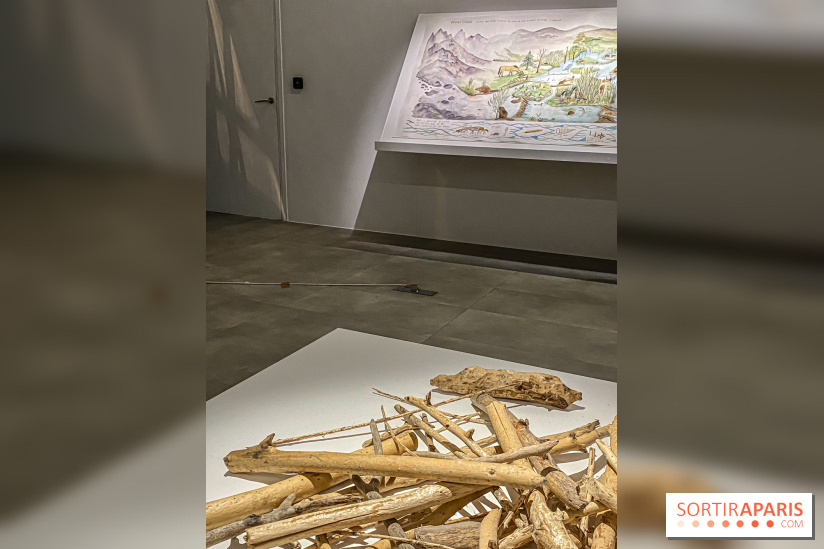 Suzanne Husky au Drawing Lab - IMG 4204