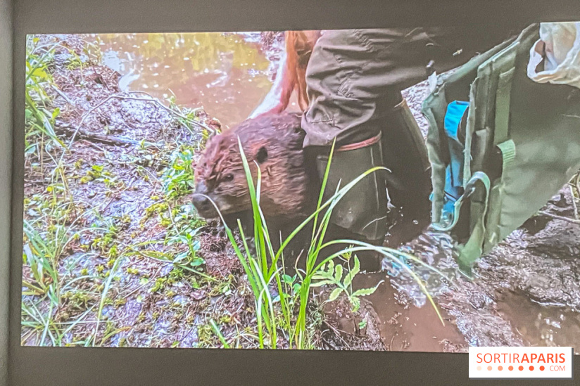 Suzanne Husky au Drawing Lab - IMG 4206