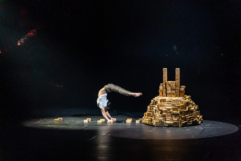 Festival Mondial du Cirque de Demain 2024, les photos  -  A7C2726