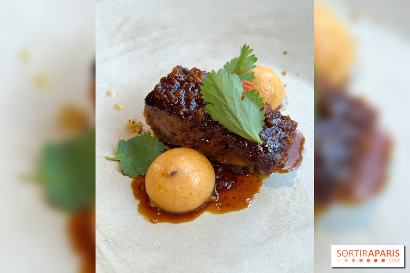 Vaisseau d'Adrien Cachot - Cochon de lait