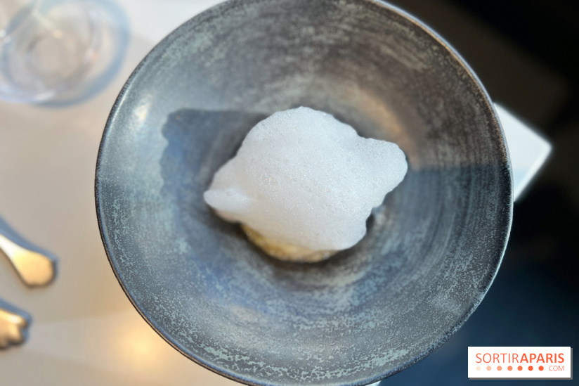 Vaisseau d'Adrien Cachot - Cabillaud