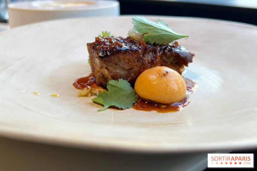 Vaisseau d'Adrien Cachot - Cochon de lait