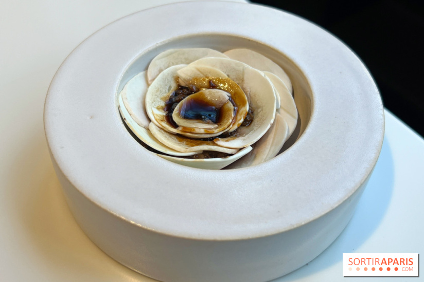 Vaisseau d'Adrien Cachot - Champignons