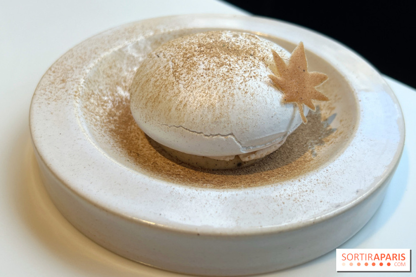 Vaisseau d'Adrien Cachot - Mont Blanc champignons