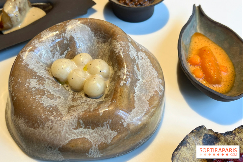 Vaisseau d'Adrien Cachot - Mochi