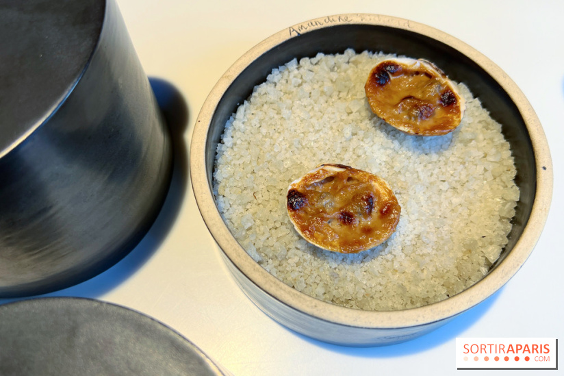 Vaisseau d'Adrien Cachot - Amuse-bouche