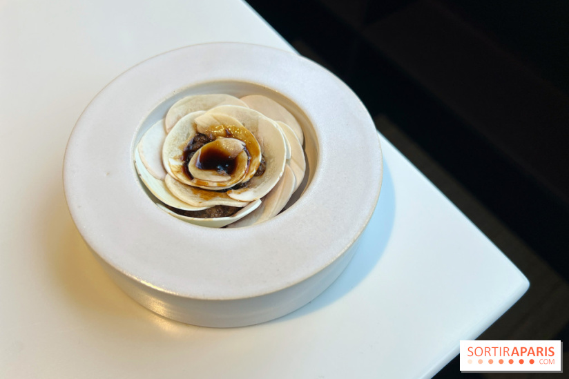 Vaisseau d'Adrien Cachot - Champignons