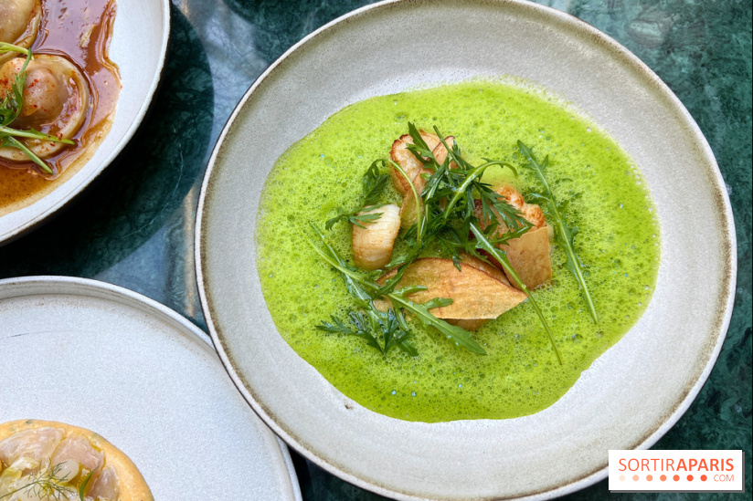 Halo de Victor Blanchet - Saint-Jacques grillées