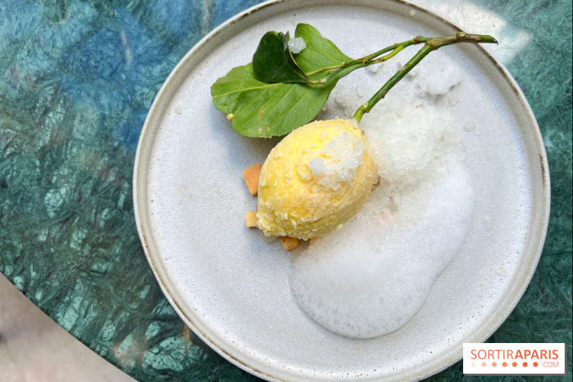 Halo de Victor Blanchet - Citron réaliste