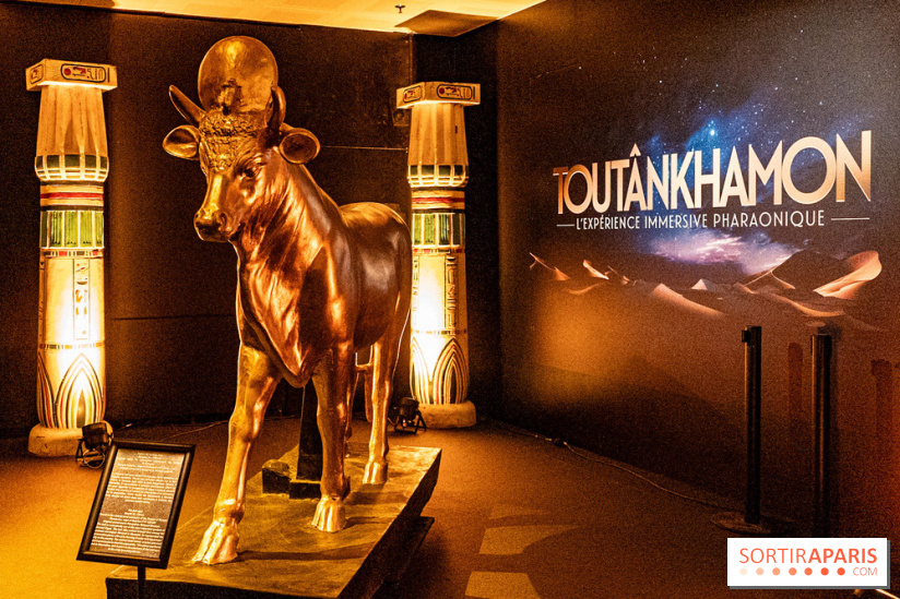 Toutankhamon, l'expérience immersive Pharaonique - les photos
