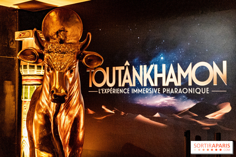 Toutankhamon, l'expérience immersive Pharaonique - les photos -  A7C4205 HDR