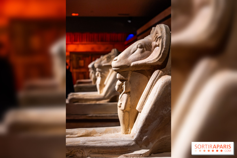 Toutankhamon, l'expérience immersive Pharaonique - les photos