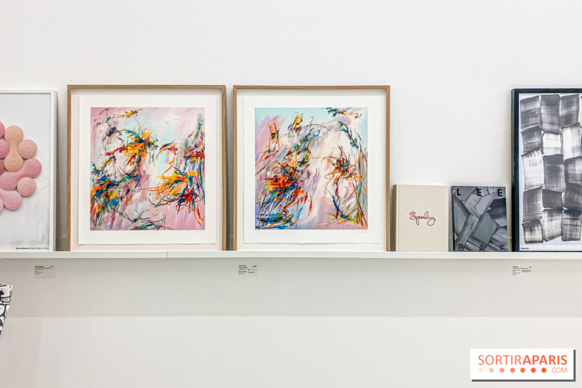 Exposition Perrotin Editions : Tous Collectionneurs ! à la galerie Perrotin - IMG 4267