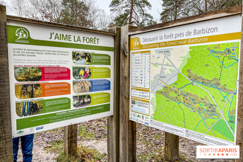 Le sentier de l'érosion à Fontainebleau - balade en forêt