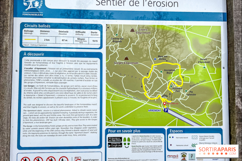 Le sentier de l'érosion à Fontainebleau - balade en forêt