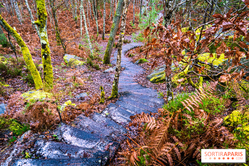 Le sentier de l'érosion à Fontainebleau - balade en forêt -  A7C4578 HDR