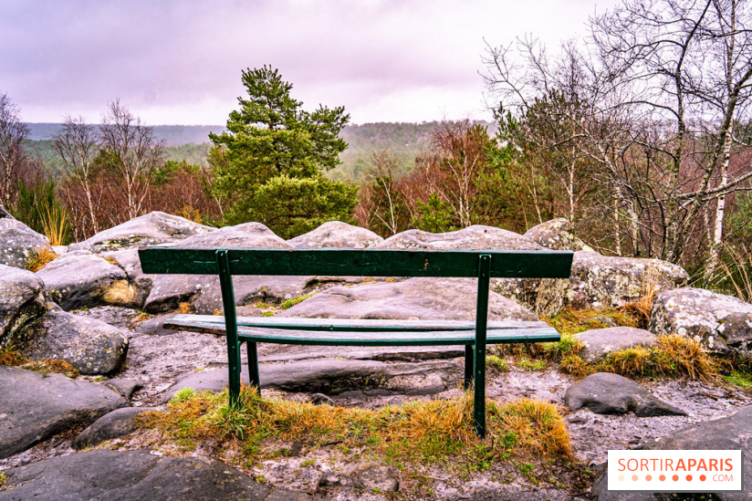 Le sentier de l'érosion à Fontainebleau - balade en forêt -  A7C4566