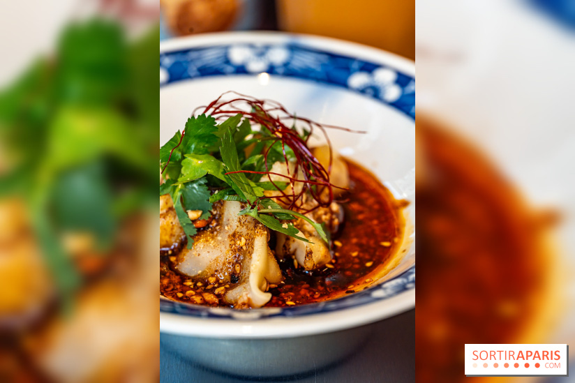 Nouilles Ban Ban restaurant  -  raviolis