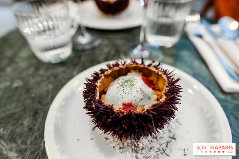 Calice à Paris, nos photos - IMG 2460