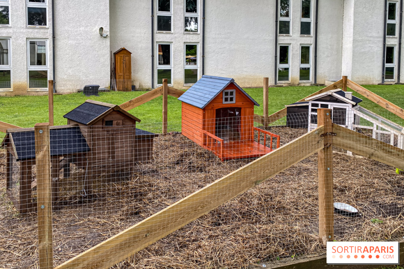 Demeures de Campagne Parc de Coudray : une évasion verte et cocooning à 35 minutes de Paris