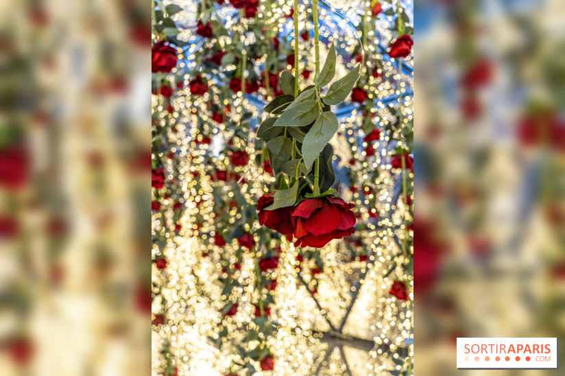 Tea Time de Saint-Valentin du Four Seasons George V Paris 2024 -  A7C5973