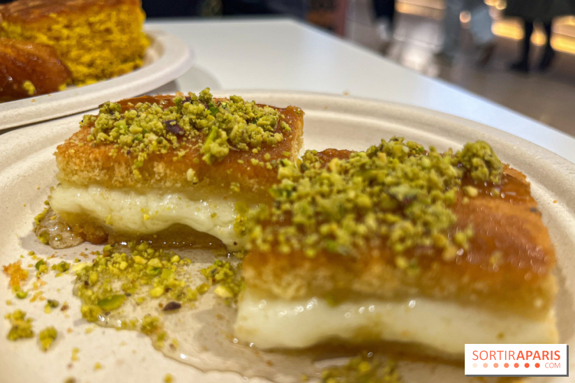 Maison Hallab - nos photos - image00012