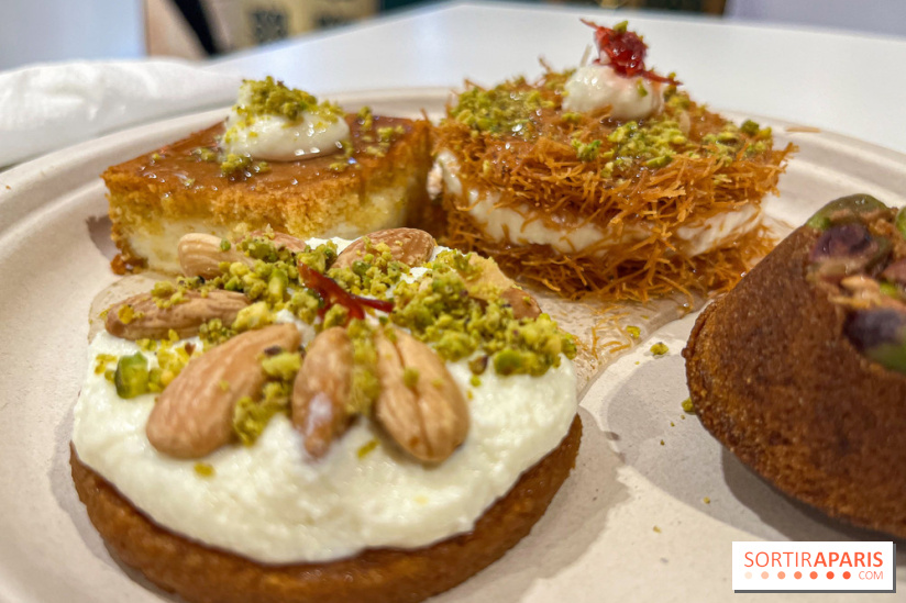 Maison Hallab - nos photos - image00015