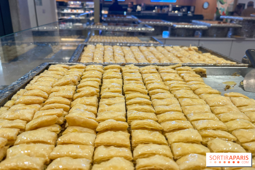 Maison Hallab - nos photos - image00006