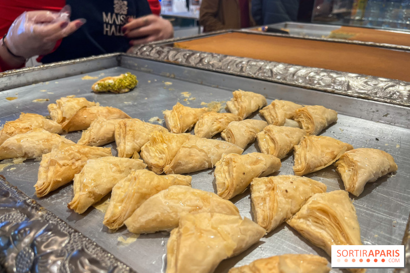 Maison Hallab - nos photos - image00007