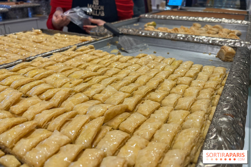 Maison Hallab - nos photos - image00008