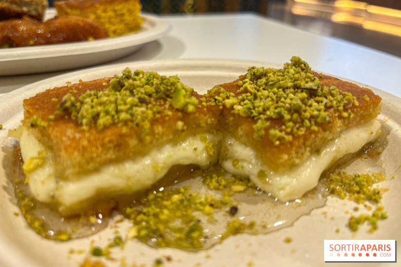 Maison Hallab - nos photos - image00009