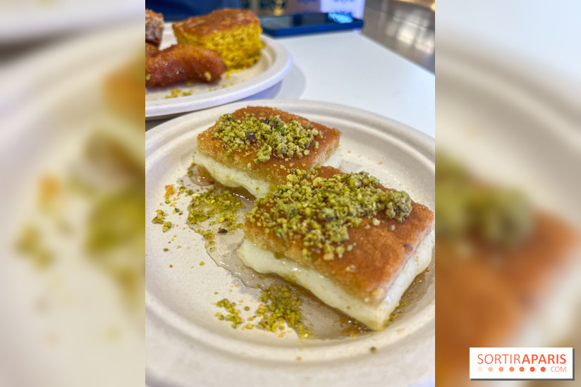 Maison Hallab - nos photos - image00010