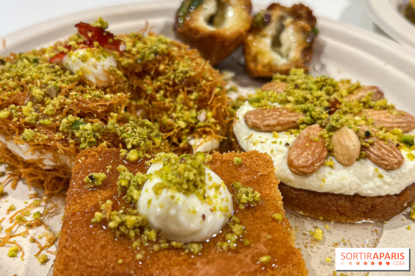 Maison Hallab - nos photos - image00011