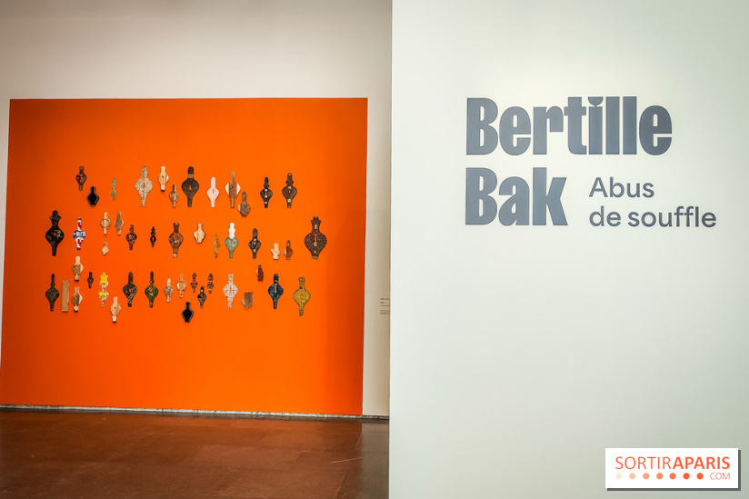 Abus de souffle, l'exposition photo humaniste et engagée de Bertille Bak se dévoile au Jeu de Paume - IMG20240212110641