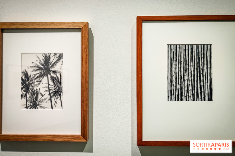 Tina Modotti : l'exposition photo rétrospective au Jeu de Paume - nos photos
