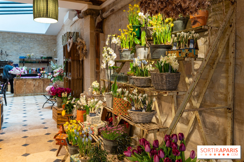 Cordelia Castellane Coffee Flower Shop -  A7C6105