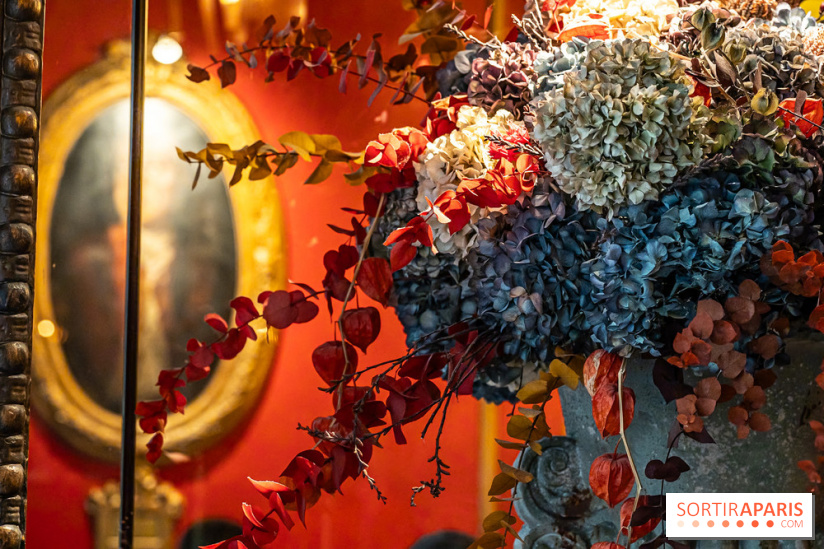 Le Procope restaurant -  A7C5542