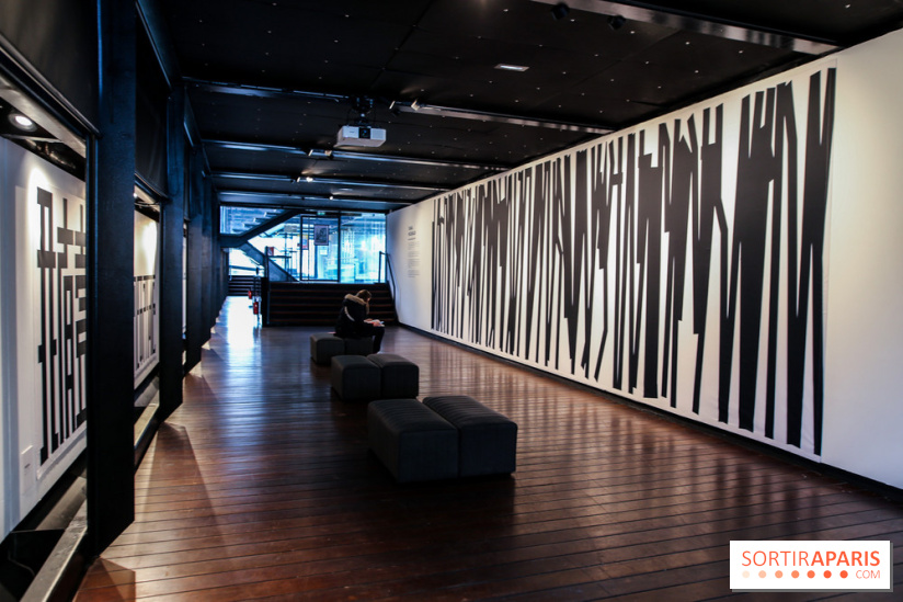 Tania Mouraud, nos photos de son expo à Fluctuart - IMG 2700