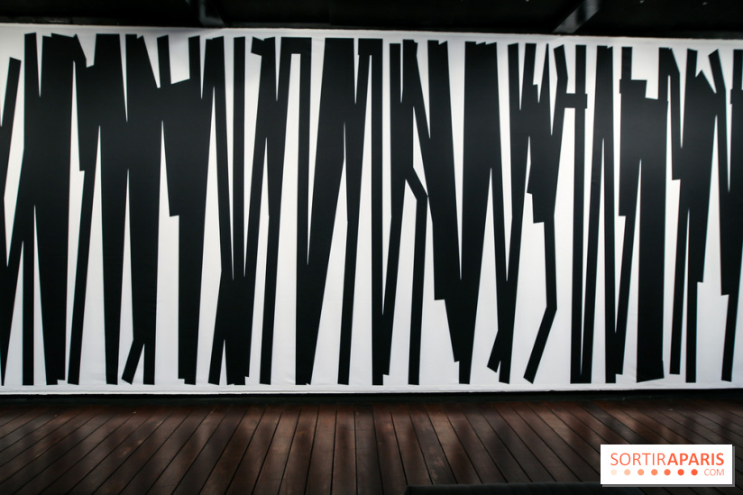 Tania Mouraud, nos photos de son expo à Fluctuart - IMG 2704