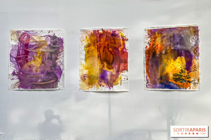 Exposition Signal de Mohamed Bourouissa au Palais de Tokyo - IMG 4499