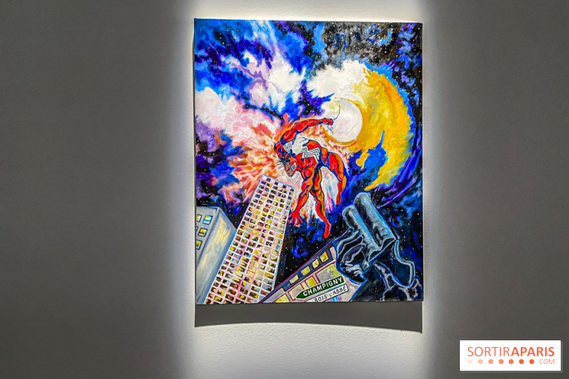 Exposition Signal de Mohamed Bourouissa au Palais de Tokyo - IMG 4520