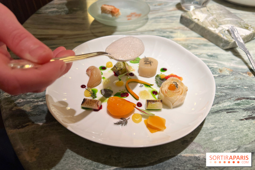OKA - FOGO - Variation végétale du potager