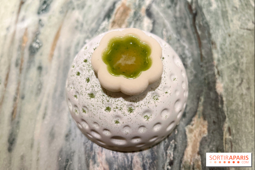 OKA - FOGO - Sorbet aneth, sarriette, citron