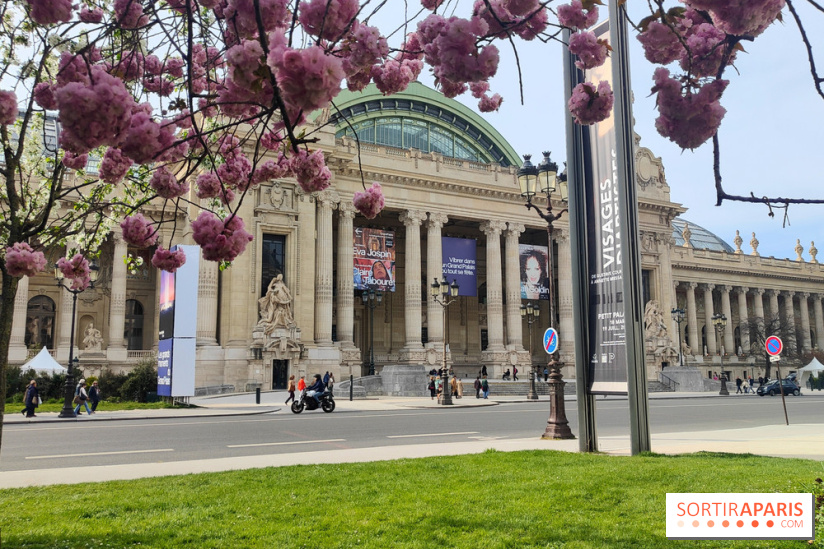 Visuel Paris 8e - Grand Palais printemps 