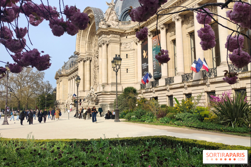 Visuel Paris 8e - Petit Palais printemps cerisiers fleurs 