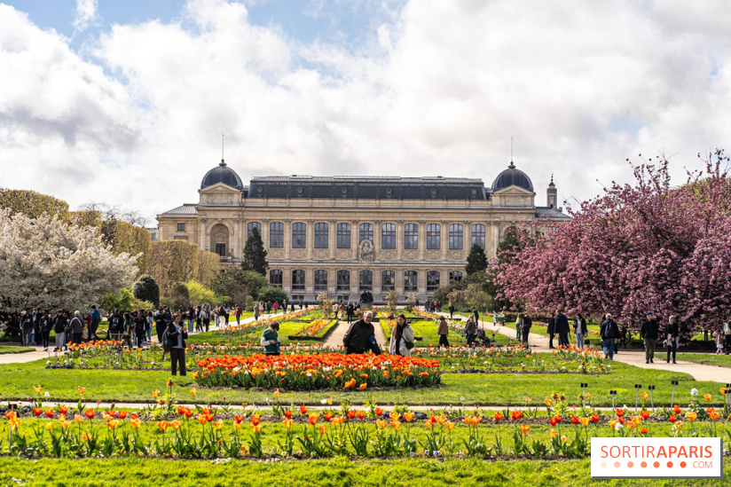 Visuel Paris 5e -  jardin des plantes - museum - printemps - cerisiers
