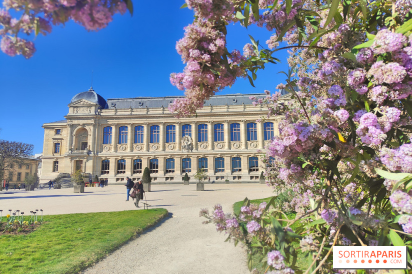 Visuel Paris 5e - Muséum jardin des plantes 